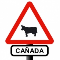 animal crossings