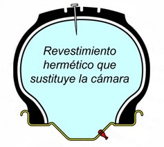 Without tube (tubeless)